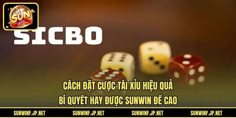 Cách đặt cược Tài Xỉu hiệu quả